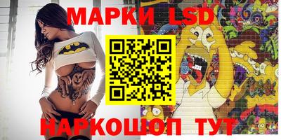 тгк Новокубанск