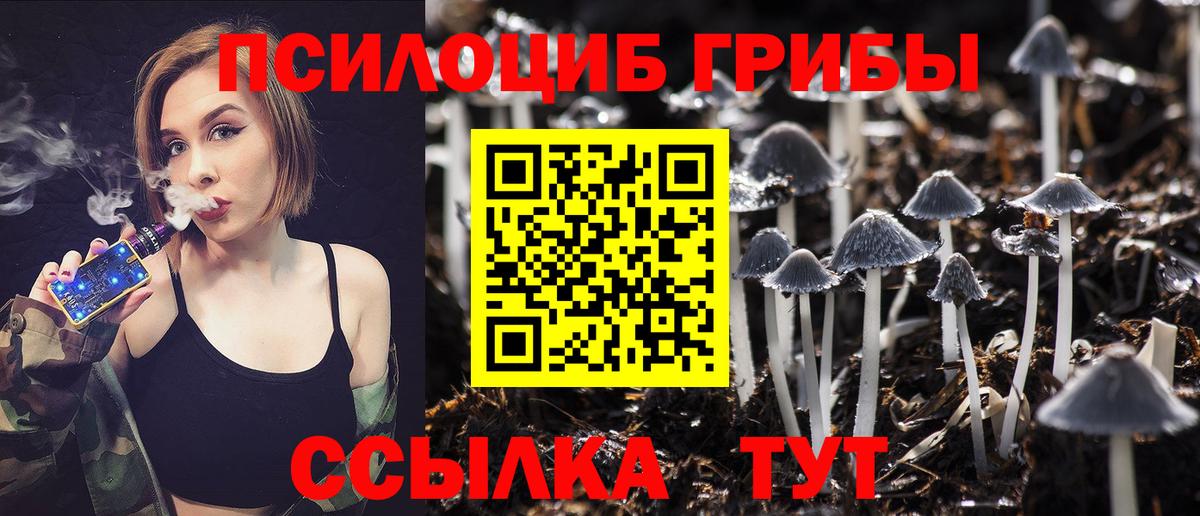 Псилоцибиновые грибы Psilocybine cubensis Орск
